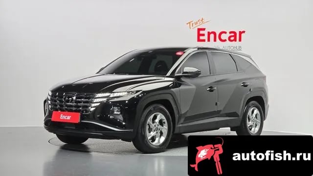 Hyundai Tucson Tucson (NX4) 2023 года - вид 1