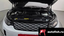 Миниатюра 6