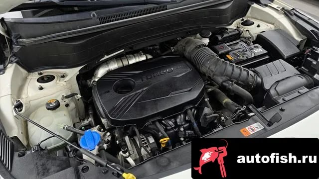 Kia Seltos Celtos 2019 года - похожие автомобили