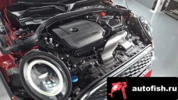 Миниатюра 6