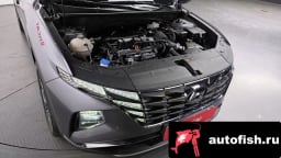 Миниатюра 6