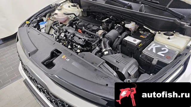 Kia Sportage Sportage 5th Generation 2023 года - вид 6