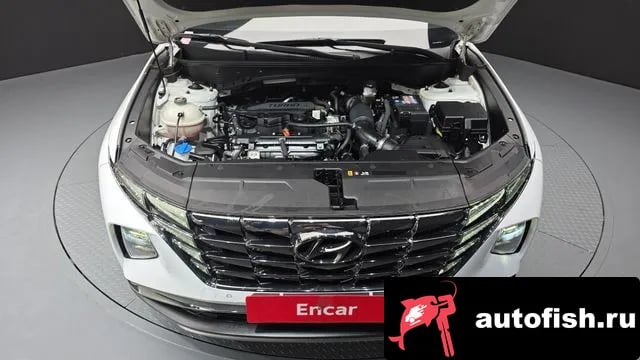 Hyundai Tucson Tucson (NX4) 2020 года - похожие автомобили