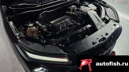 Миниатюра 6