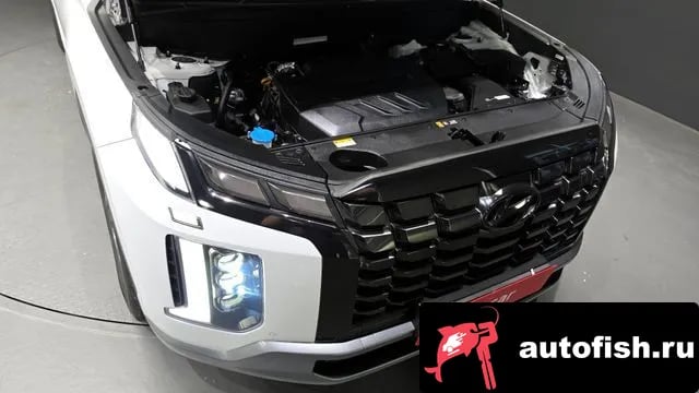 Hyundai Palisade The New Palisade 2023 года - вид 6