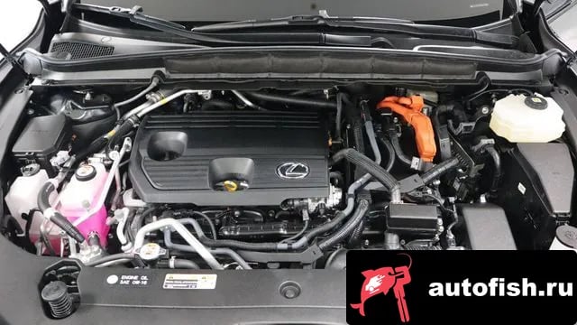 Lexus RX RX450h + 5th generation 2024 года - вид 6