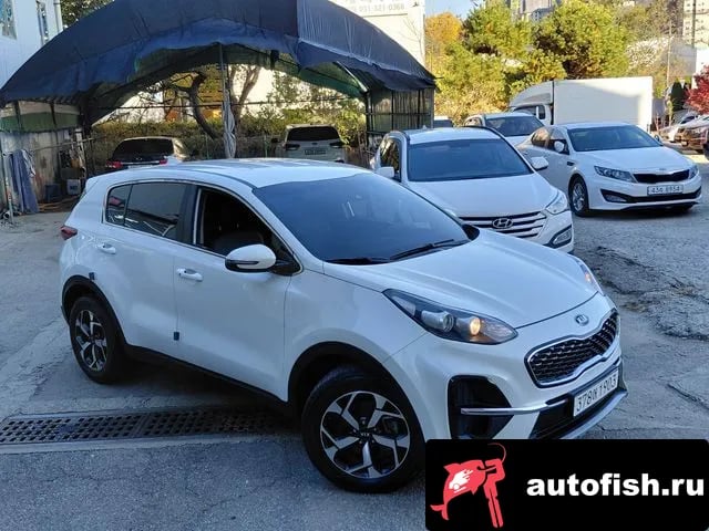 Kia Sportage Sportage The Bold 2020 года - вид 1