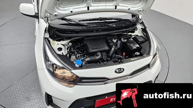 Kia morning Morning Urban (JA) 2021 года - вид 6