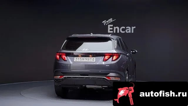 Hyundai Tucson Tucson (NX4) 2023 года - вид 4