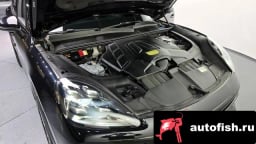 Миниатюра 6