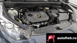 Миниатюра 6