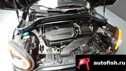 Миниатюра 6