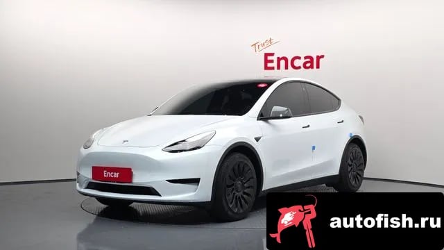 Tesla Model Y Model Y 2023 года - вид 1