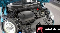 Миниатюра 6