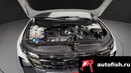 Миниатюра 6