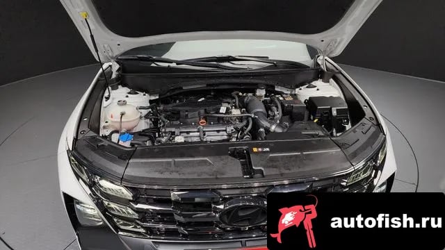 Hyundai Tucson The New Tucson (NX4) 2024 года - вид 6