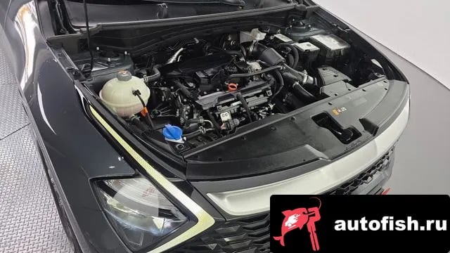 Kia Sportage Sportage 5th Generation 2023 года - вид 6