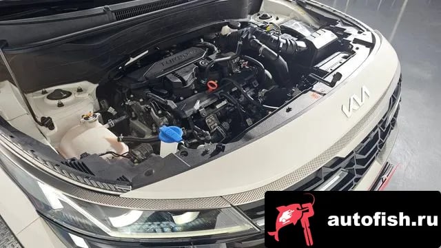 Kia Seltos The New Celtos 2023 года - вид 6