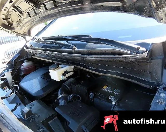 Hyundai Staria Staria 2022 года - похожие автомобили