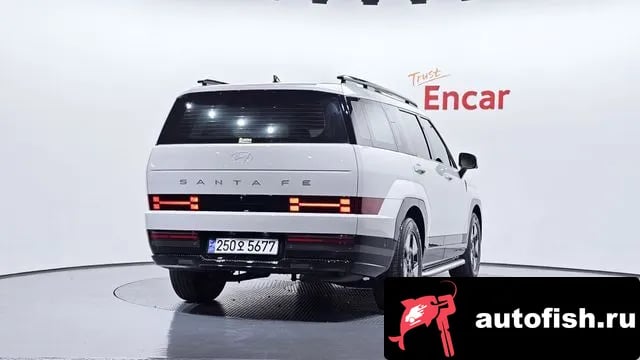 Hyundai Santafe San Tafe (MX5) 2024 года - вид 4