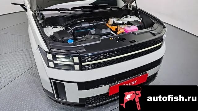 Hyundai Santafe San Tafe (MX5) 2024 года - вид 6