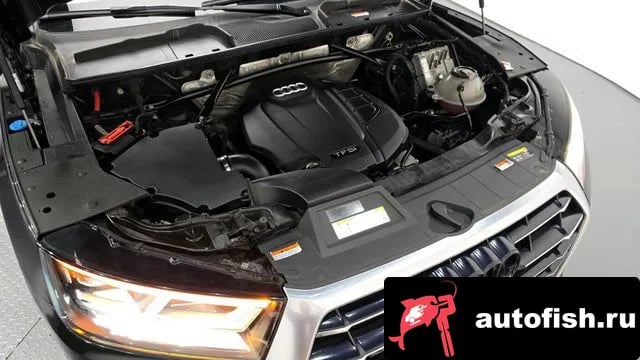 Audi Q5 Q5 (FY) 2020 года - вид 6