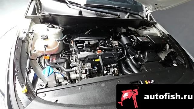 Kia Sportage Sportage 5th Generation 2024 года - вид 6