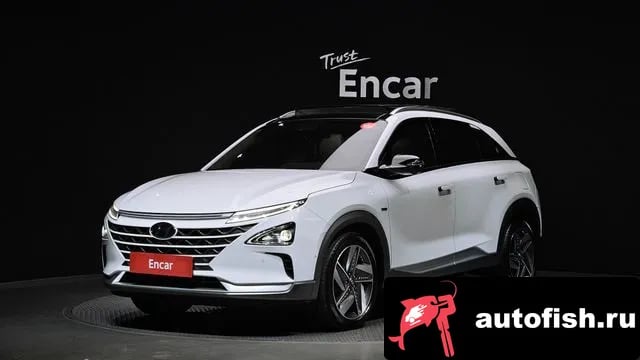 Hyundai Nexo NEXSO 2020 года - вид 1