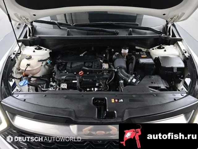 Kia Sportage Sportage 5th Generation 2022 года - вид 6