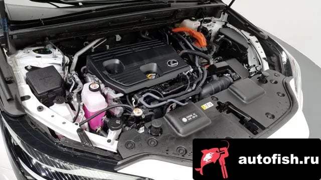 Lexus NX NX350h Second generation 2024 года - вид 6