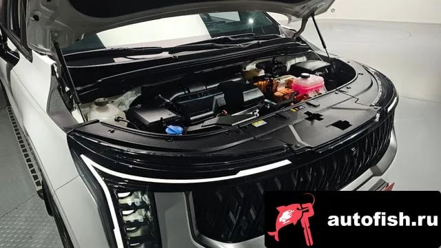 Kia Carnival The New Carnival 4th Generation 2024 года - вид 6