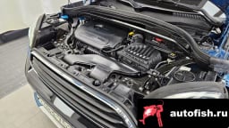 Миниатюра 6