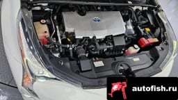 Миниатюра 6