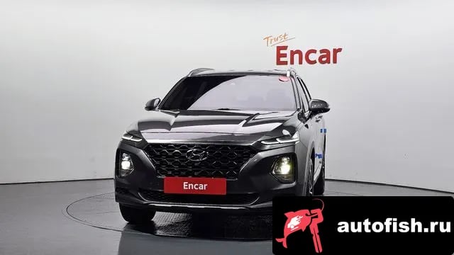 Hyundai Santafe San Tafe TM 2019 года - вид 3