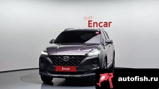 Hyundai Santafe San Tafe TM 2019 года - вид 3
