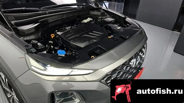 Hyundai Santafe San Tafe TM 2019 года - вид 6