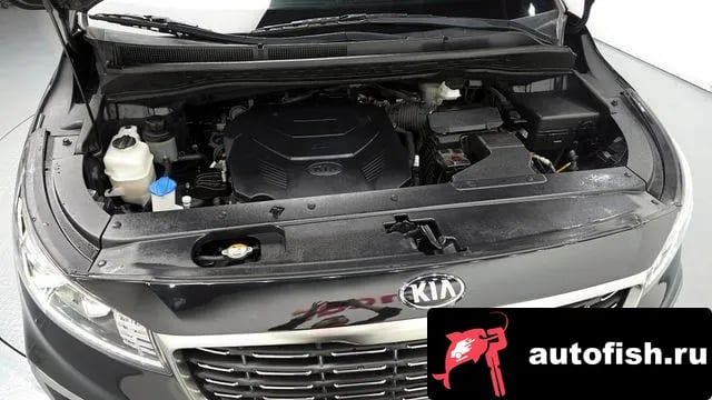 Kia Carnival The New Carnival 2019 года - вид 6