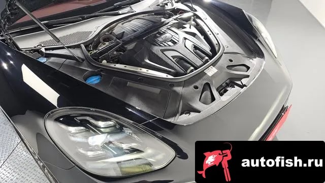 Porsche Panamera Panamera (971) 2022 года - вид 6