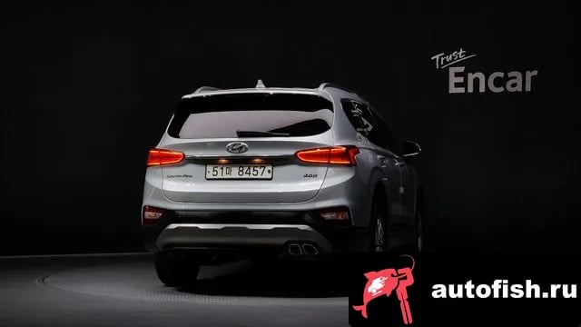 Hyundai Santafe San Tafe TM 2019 года - вид 4