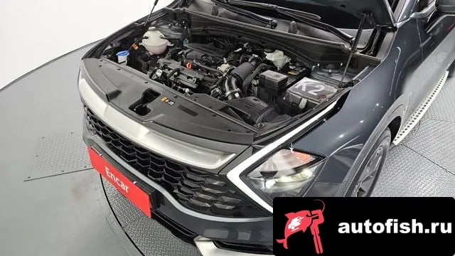 Kia Sportage Sportage 5th Generation 2024 года - вид 6