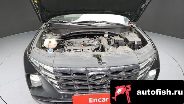 Hyundai Tucson Tucson (NX4) 2021 года - вид 6