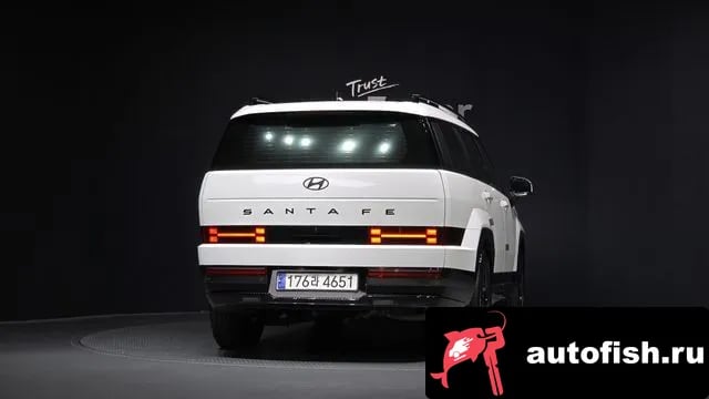 Hyundai Santafe San Tafe (MX5) 2024 года - вид 4