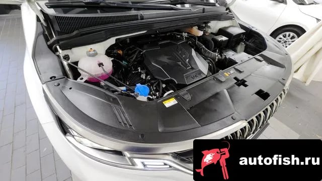 Kia Carnival Carnival 4th generation 2023 года - вид 6