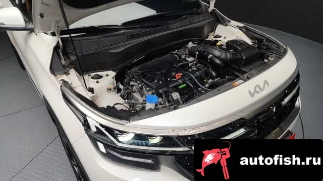 Kia Seltos The New Celtos 2024 года - вид 6