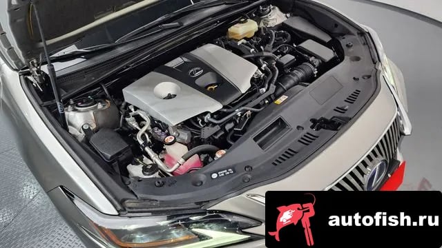 Lexus ES ES300h 7th generation 2021 года - вид 6