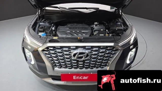 Hyundai Palisade Palisade 2019 года - вид 6