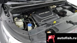 Миниатюра 6