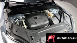 Миниатюра 6