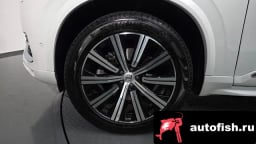 Миниатюра 4