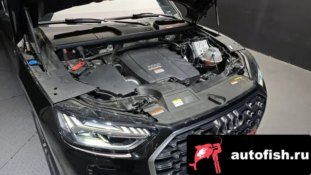 Audi Q5 Q5 (FY) 2021 года - вид 6